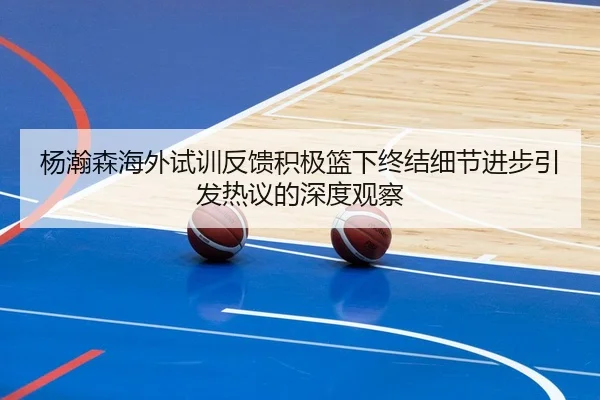 杨瀚森海外试训反馈积极篮下终结细节进步引发热议的深度观察